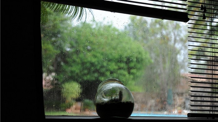 Rainy day through a window with a jar