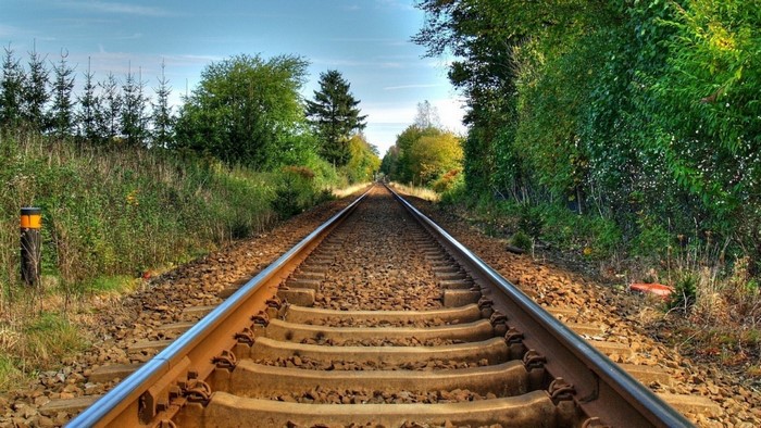Train tracks through a green forest landscape