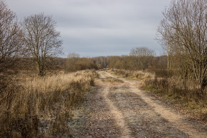 Dirt road through a dry grassy field with bare trees