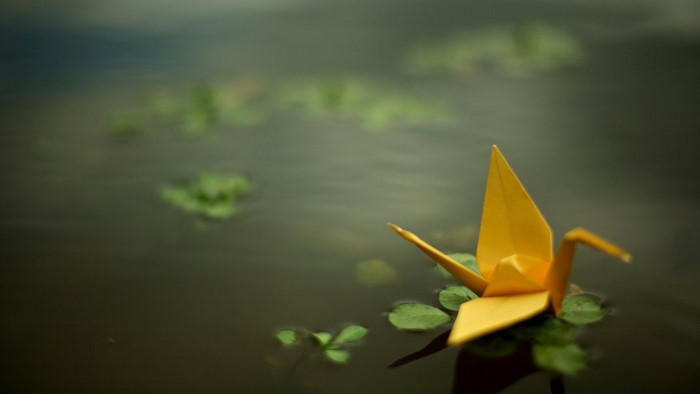 Yellow origami crane floating on water with leaves