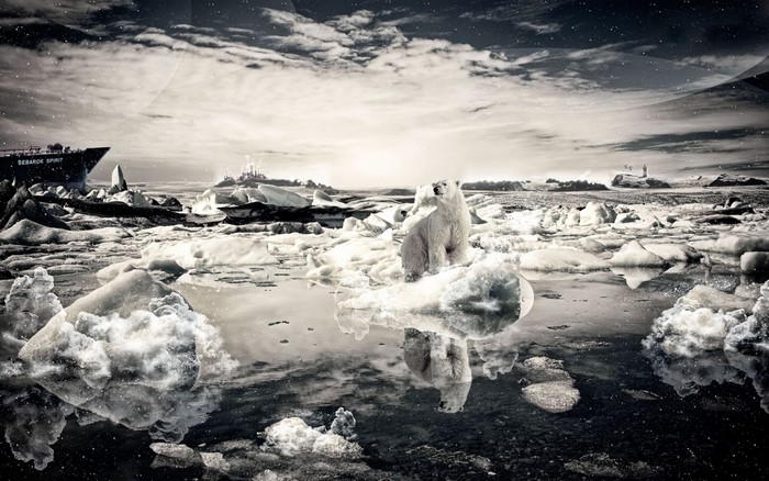 Polar bear on ice floe with ship and industrial landscape