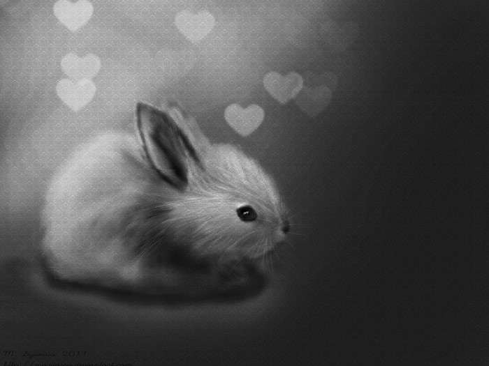 Monochrome drawing of a fluffy rabbit with heart bokeh