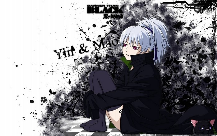 Yin and Mao from Darker than Black