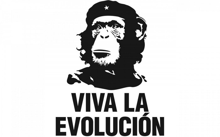 Chimpanzee wearing a Che Guevara hat with text "VIVA LA EVOLUCIÓN"
