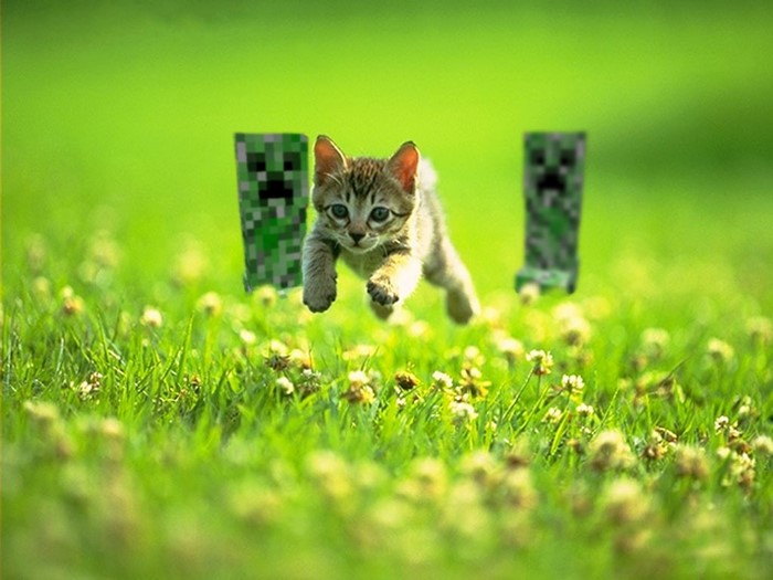 Kitten jumping in front of Minecraft creepers in a field