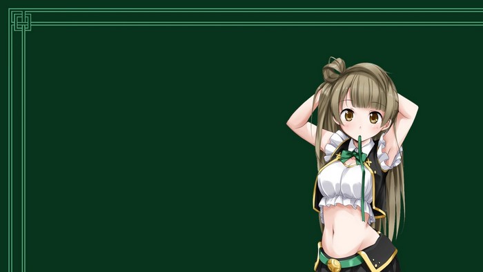 Minami Kotori from Love Live illustration