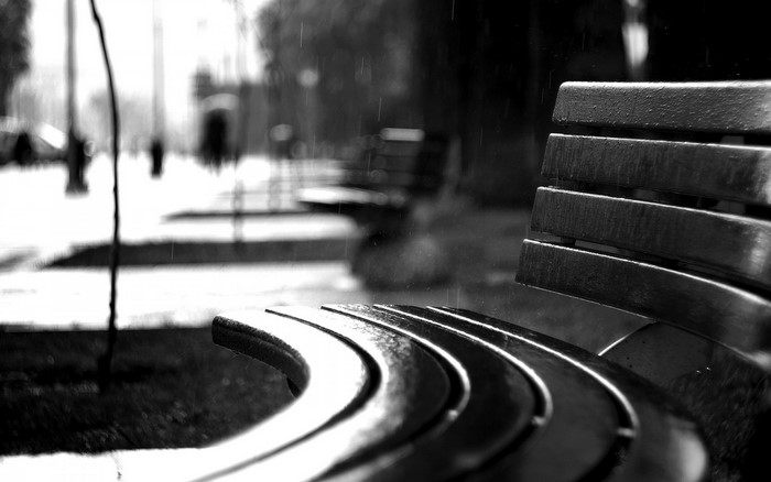 Monochrome photography of a park bench in the rain