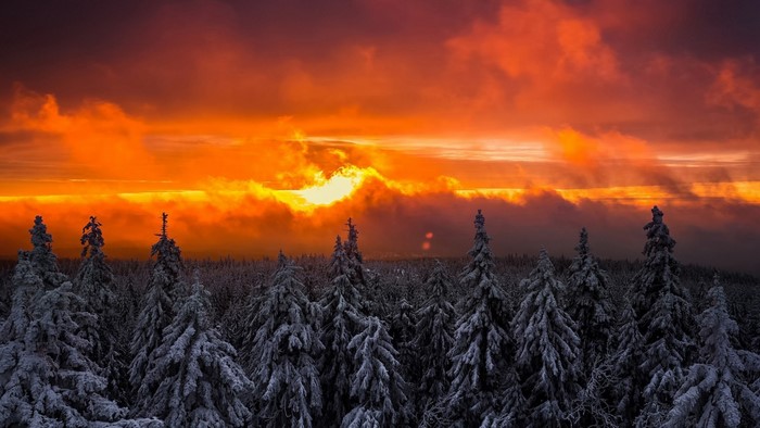 Snow-covered forest at sunset with dramatic clouds