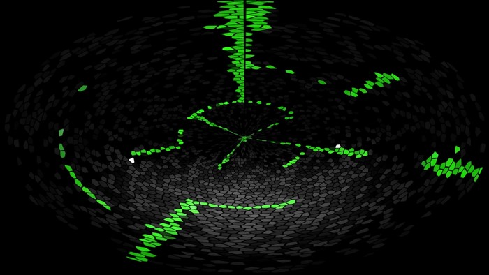 Abstract digital art with green lines on black background