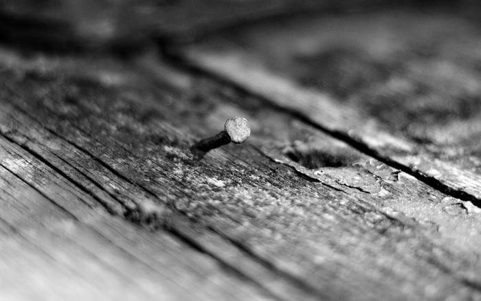 Close-up of a rusty nail on weathered wood