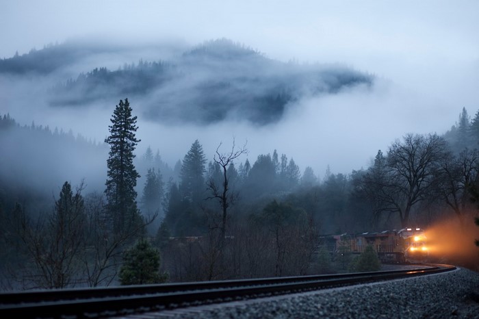 Train traveling through a foggy forest at dawn
