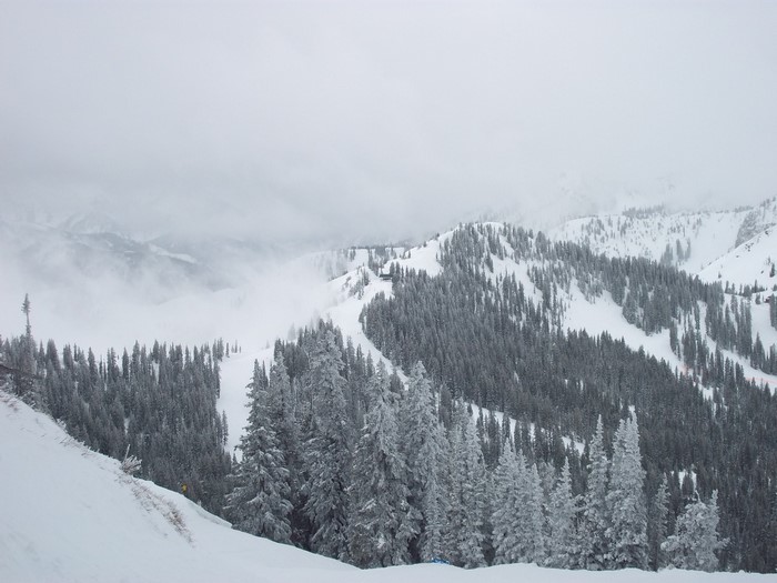 Snowy mountain range with pine trees and ski slopes