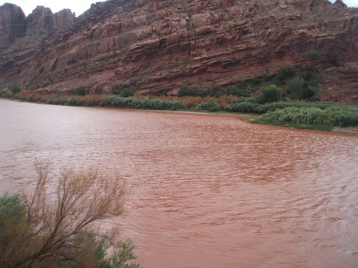 Muddy river flowing past red rock cliffs and green vegetation