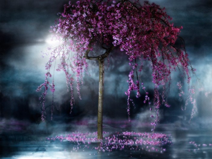 Fantasy art of a weeping cherry tree with pink flowers