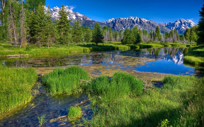 Mountain range reflected in a winding river with trees