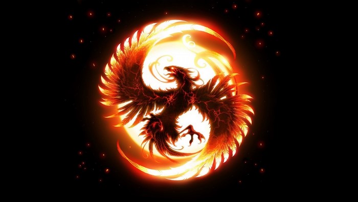 Phoenix in a fiery circle