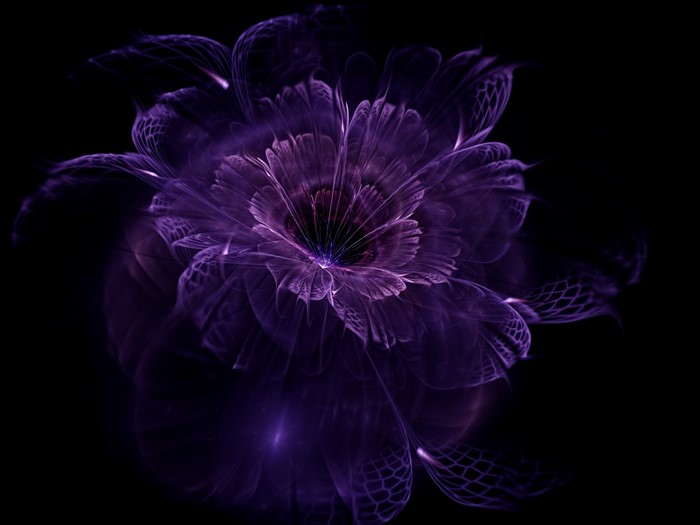 Abstract purple fractal flower on black background
