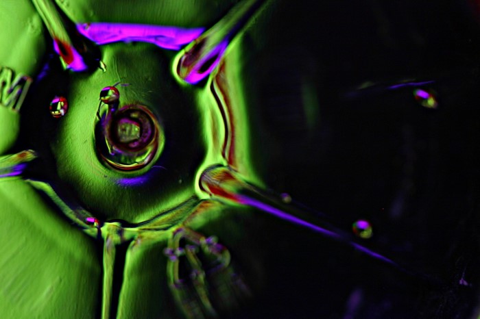 Abstract macro photography of colorful organic structure