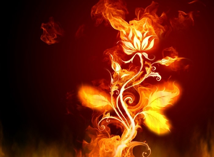 Fiery flower with swirling flames