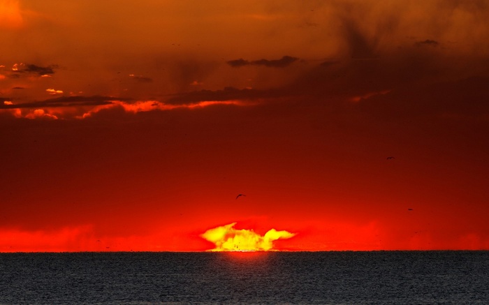 Sunset over the ocean with birds