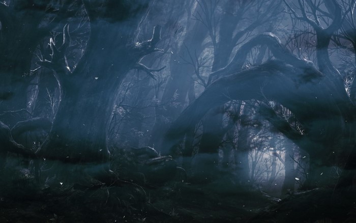 Dark fantasy forest with gnarled trees and mist