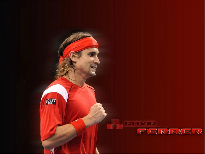 David Ferrer tennis player