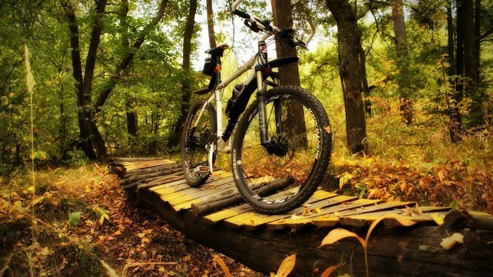 Mountain bike on a wooden bridge in an autumn forest