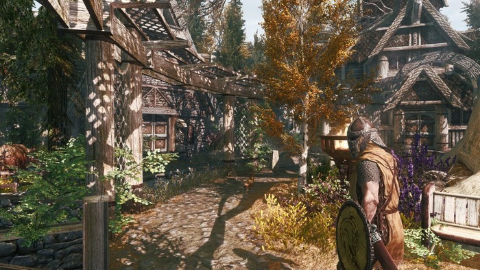 The Elder Scrolls V Skyrim village with a warrior