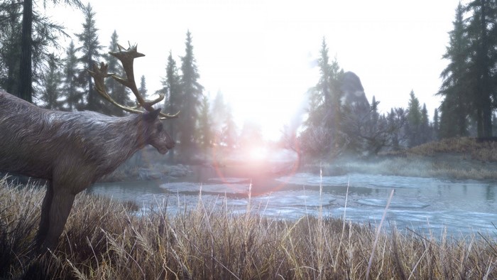Deer in a misty forest by a river in Skyrim