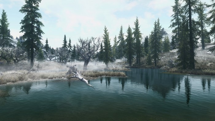 The Elder Scrolls V Skyrim landscape with lake and forest
