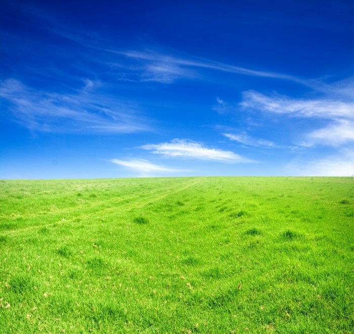 Green grass field under a blue sky with clouds