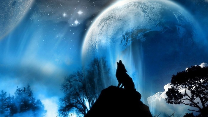 Wolf howling at a large moon with stars