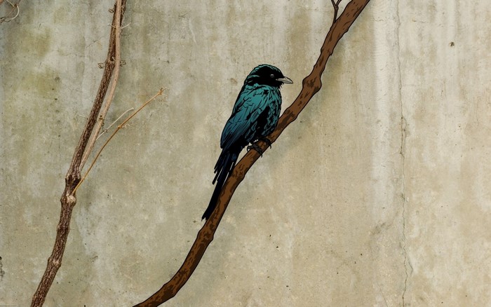 Blue bird perched on a branch against a textured wall