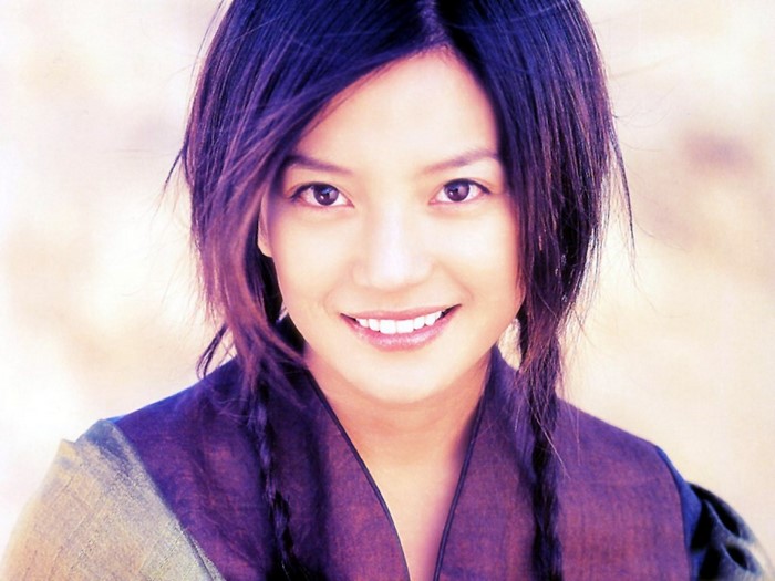 Zhao Wei portrait with braided hair