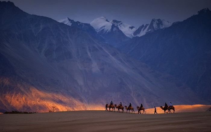 Camels crossing a desert valley at sunset with mountains