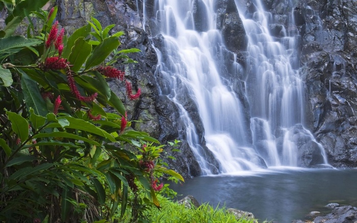 Waterfall cascading over rocks with red ginger flowers