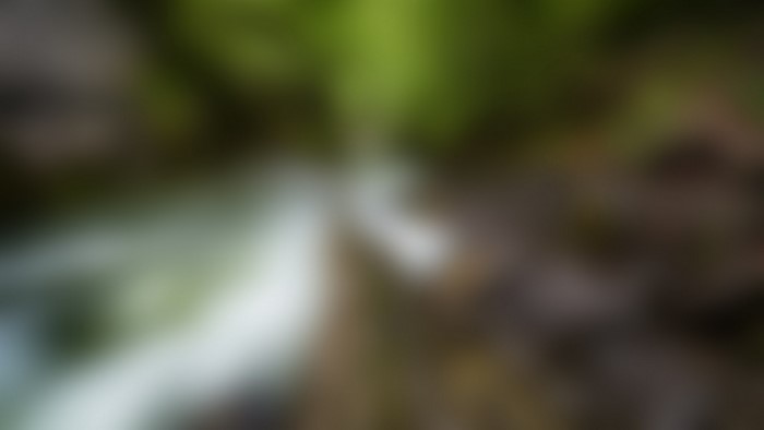 Blurred forest stream with sunlight