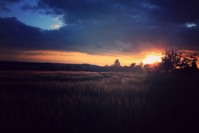 Sunset over a field with dramatic clouds