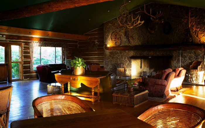 Rustic log cabin living room with fireplace and deer head