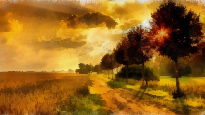 Sunset over a field with trees and a dirt road