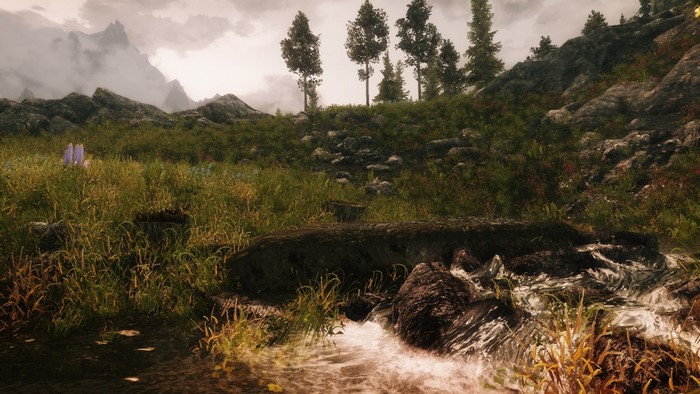 The Elder Scrolls V Skyrim landscape with mountains and stream
