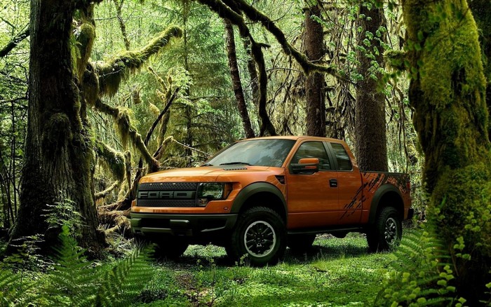 Orange Ford Raptor truck in a mossy forest