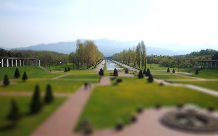 Park with long canal and trees