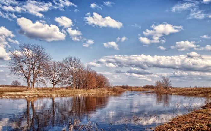 Bare trees reflected in a calm river under a cloudy sky