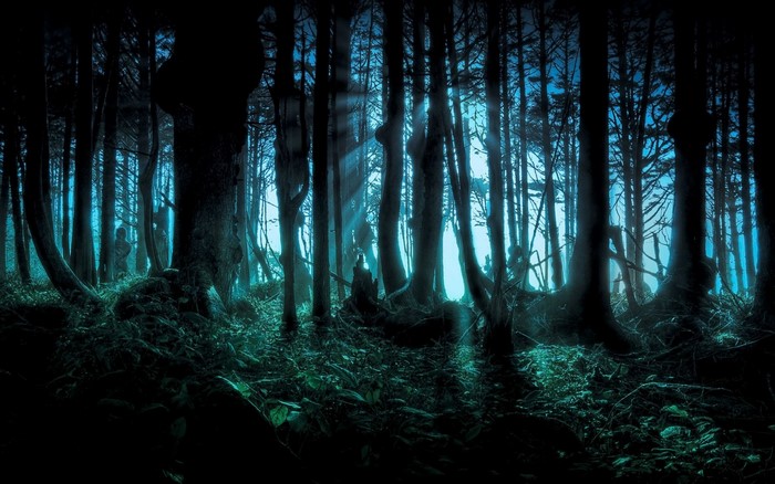 Sunlight filtering through a dark, blue-toned forest