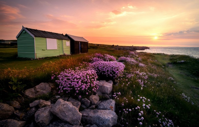 Beach huts and flowers at sunset by the sea