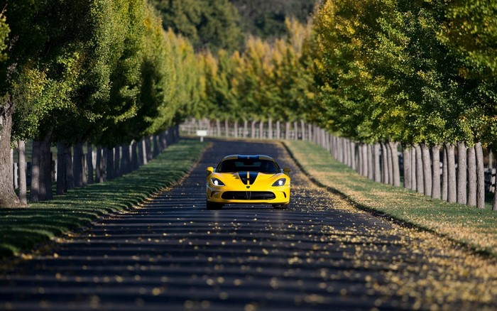 Yellow Dodge Viper driving down tree-lined road in autumn