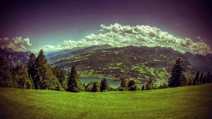 Green Meadow with Mountains and Lake