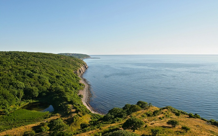 Coastal landscape with forest and ocean