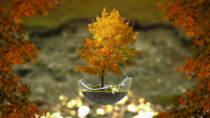 Autumn tree in a glass terrarium